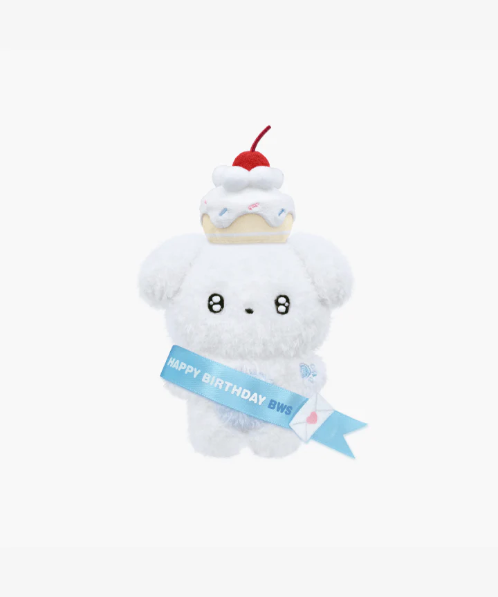 BYEON WOO SEOK - HBD BWS 2024 BWS HBD OFFICIAL MD PROP SET - Image 2