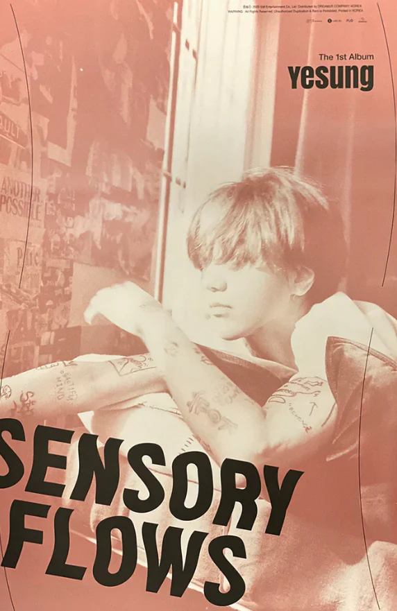 [POSTER#196,197] Yesung - Sensory flows