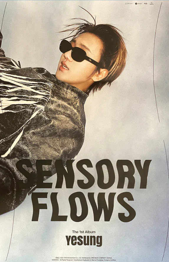 [POSTER#196,197] Yesung - Sensory flows - Image 2
