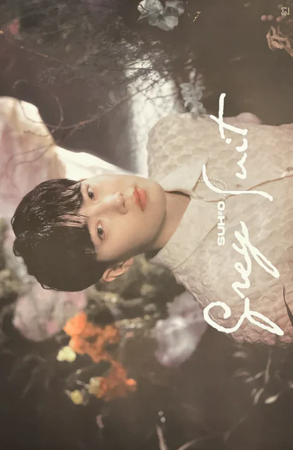 [POSTER#045] Suho - Grey Fruit