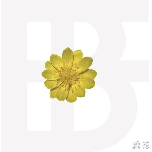 BOYFRIEND - MINI ALBUM SNOW FLOWER