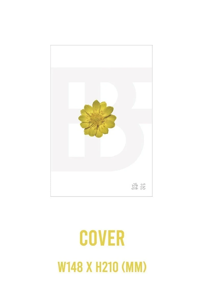 BOYFRIEND - MINI ALBUM SNOW FLOWER - Image 2