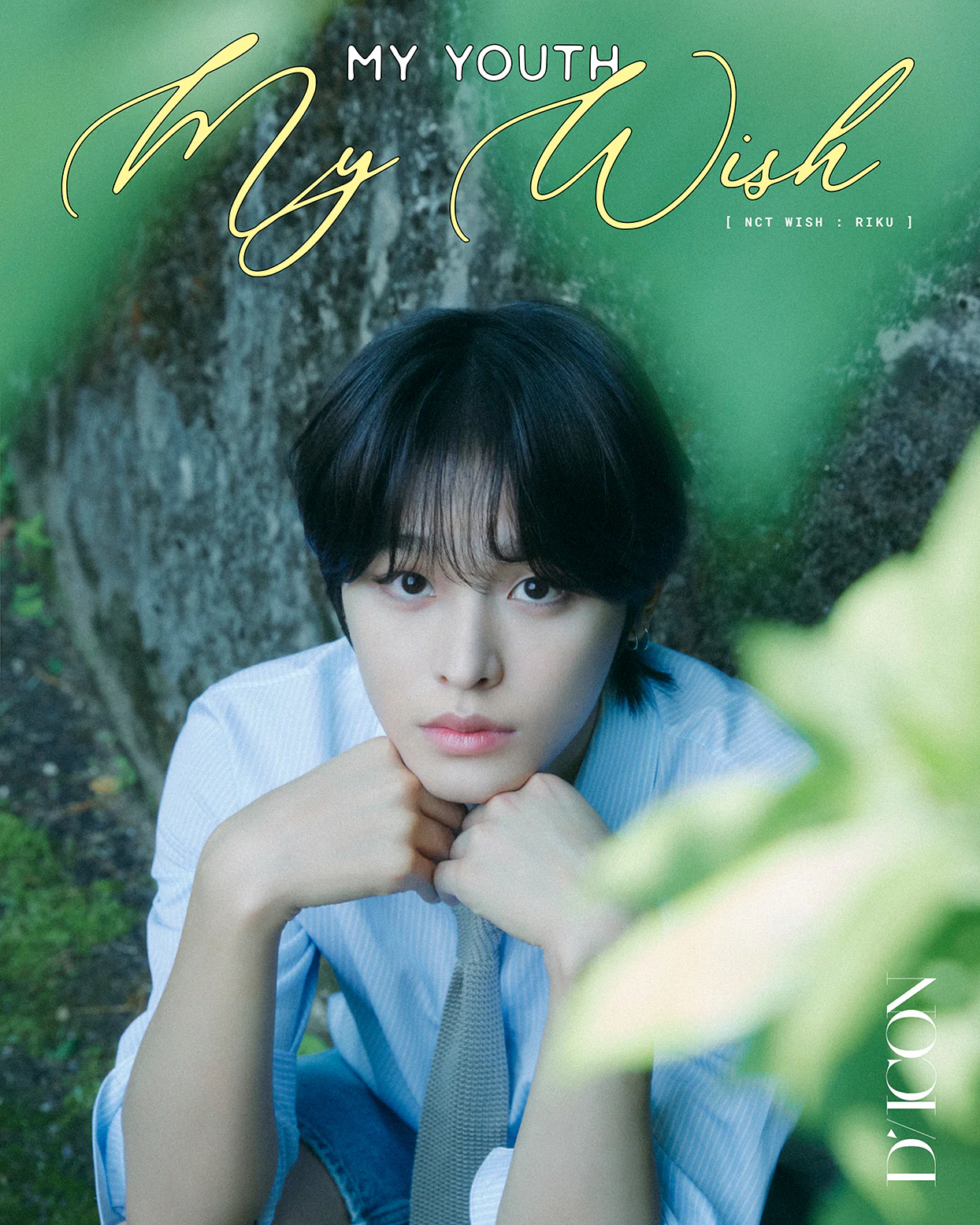 DICON VOLUME N°29 NCT WISH : MY YOUTH, MY WISH / TO WISH, TO WAIT - Image 3