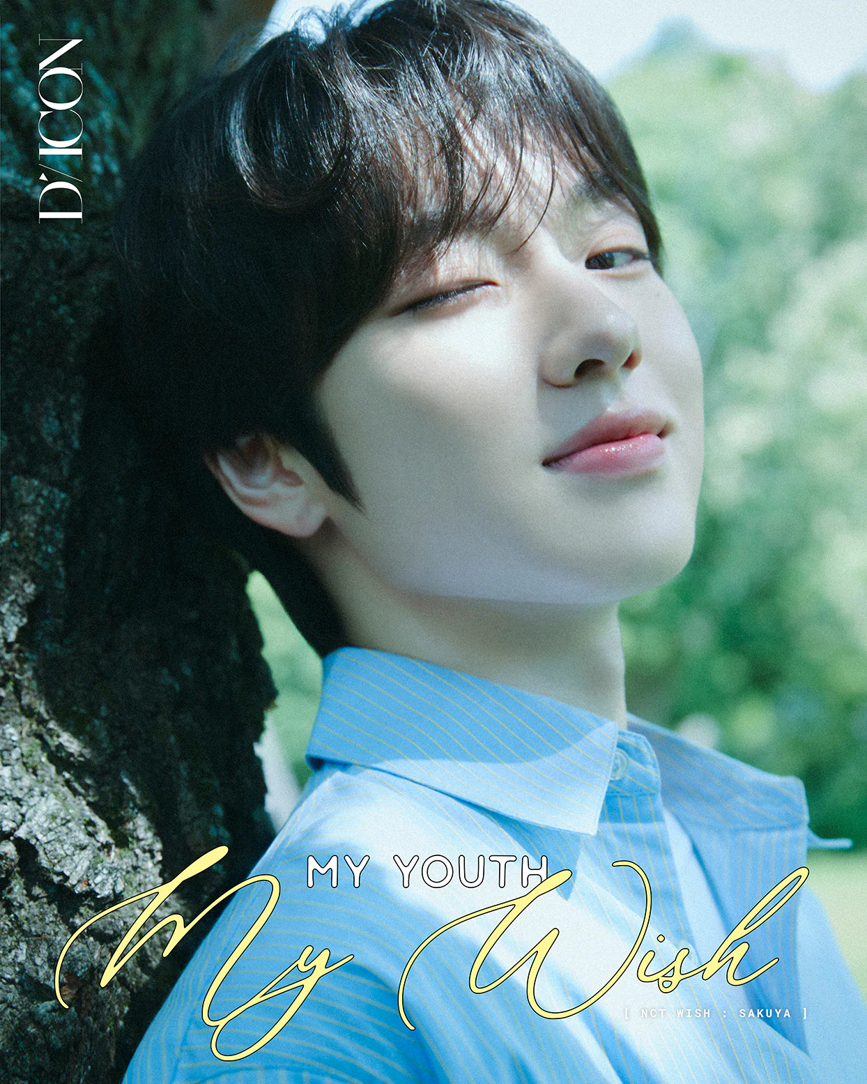 DICON VOLUME N°29 NCT WISH : MY YOUTH, MY WISH / TO WISH, TO WAIT - Image 4